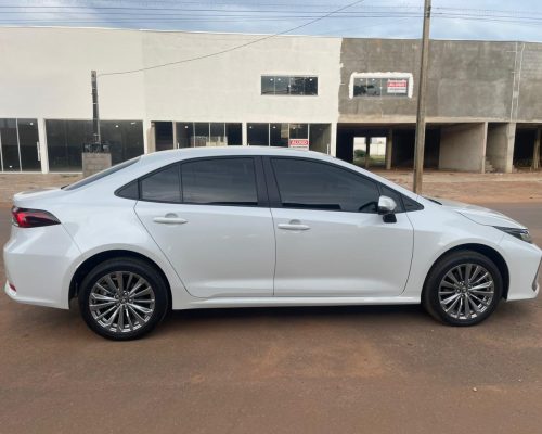 WhatsApp Image 2026-03-02 at 15.23.03 (1)