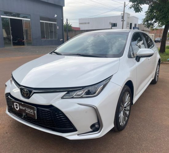 WhatsApp Image 2026-03-02 at 15.23.05 (3)