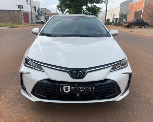 WhatsApp Image 2026-03-02 at 15.23.06